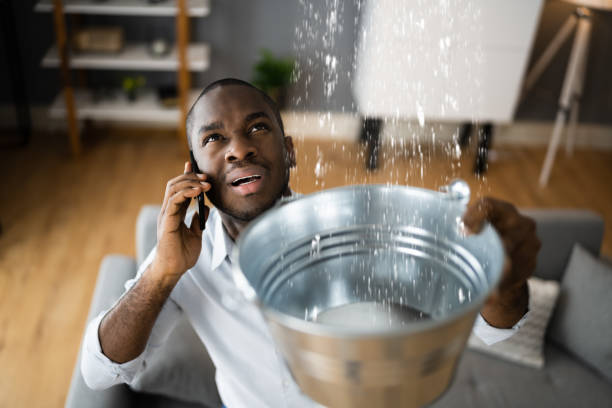 Best Flooded house restoration  in St Paris, OH