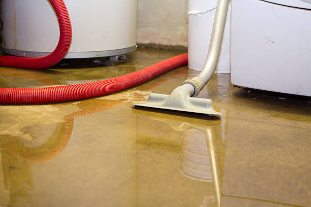Best Water damage restoration experts  in St Paris, OH
