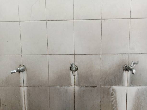 Best Water damage restoration near me  in St Paris, OH
