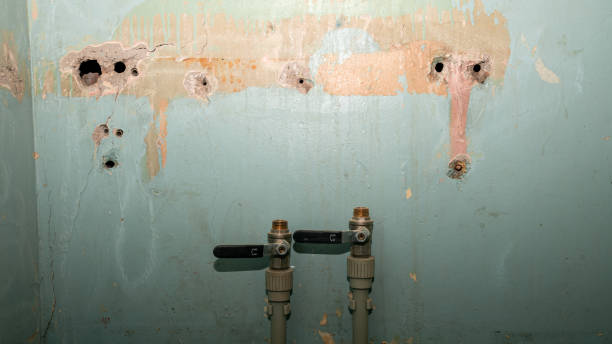 Best Professional water damage repair  in St Paris, OH